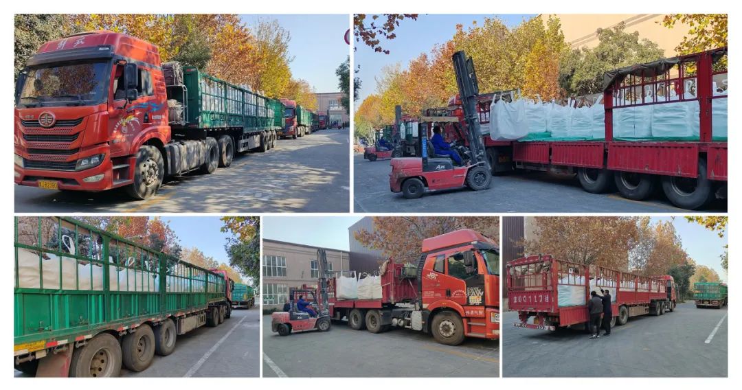 /ueditor/image/20260202/1770029755972349/7ab81d4d14158862145b487bb339b29b.jpg aa255ec1a916535de3f08ed7ecfec980.jpg